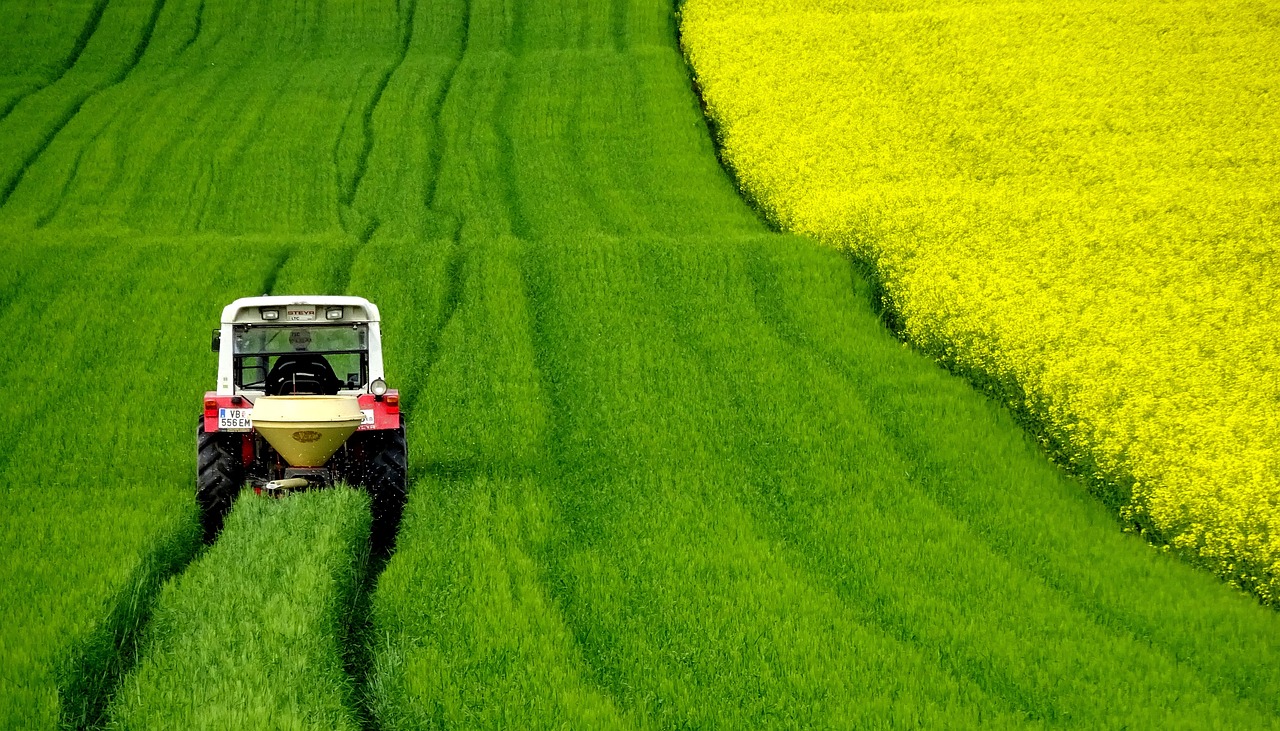 밀크 씨 슬 효능