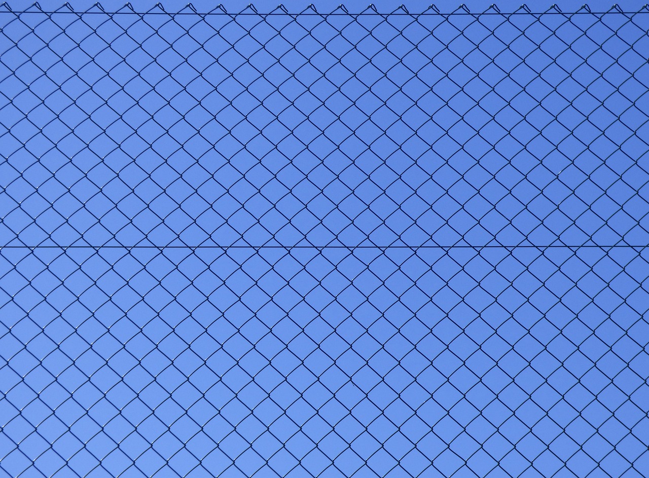 유선 발달에 좋은 음식