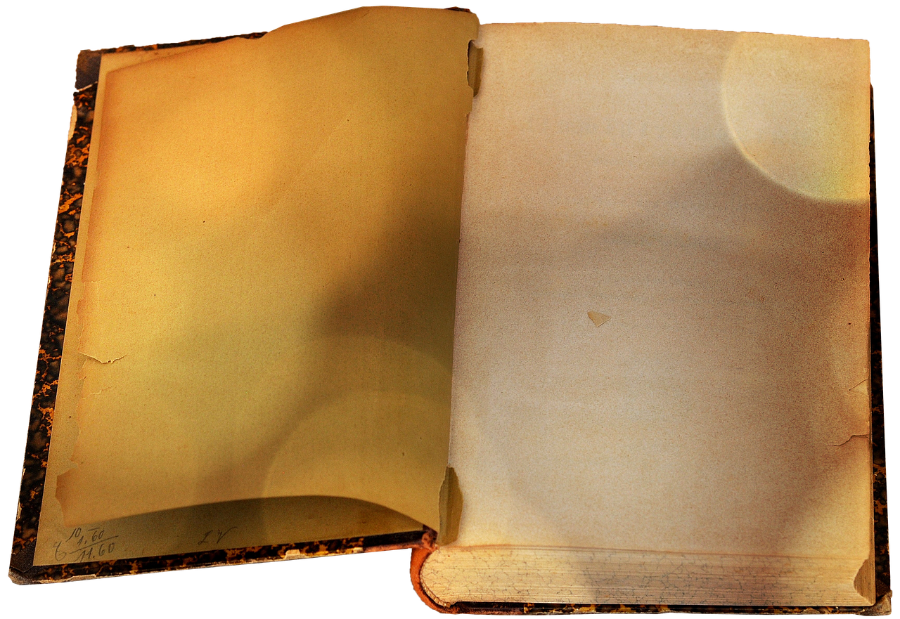 비타민 a 많은 음식