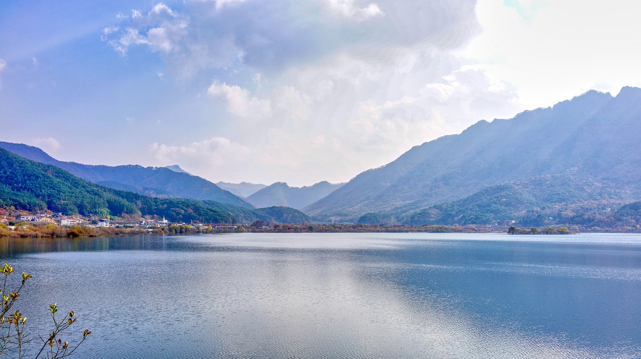 갑상선 기능 저하증에 나쁜 음식