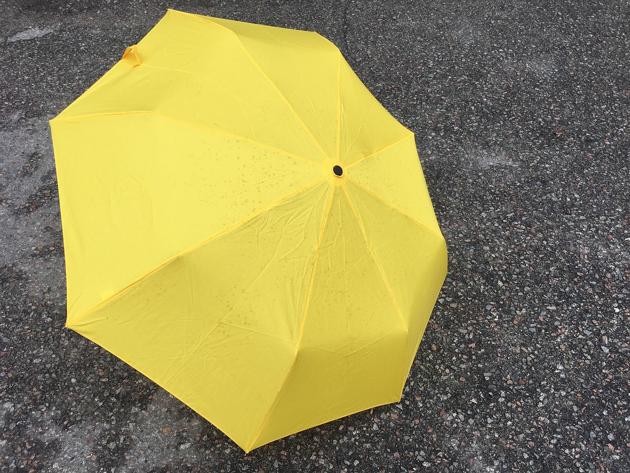 자취생 가성 비 음식