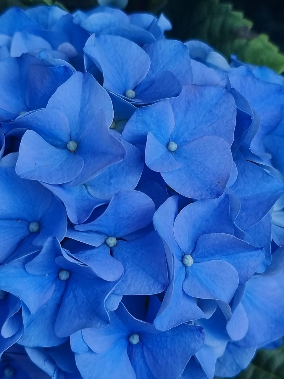 음식 만 먹으면 배가 아픈 이유