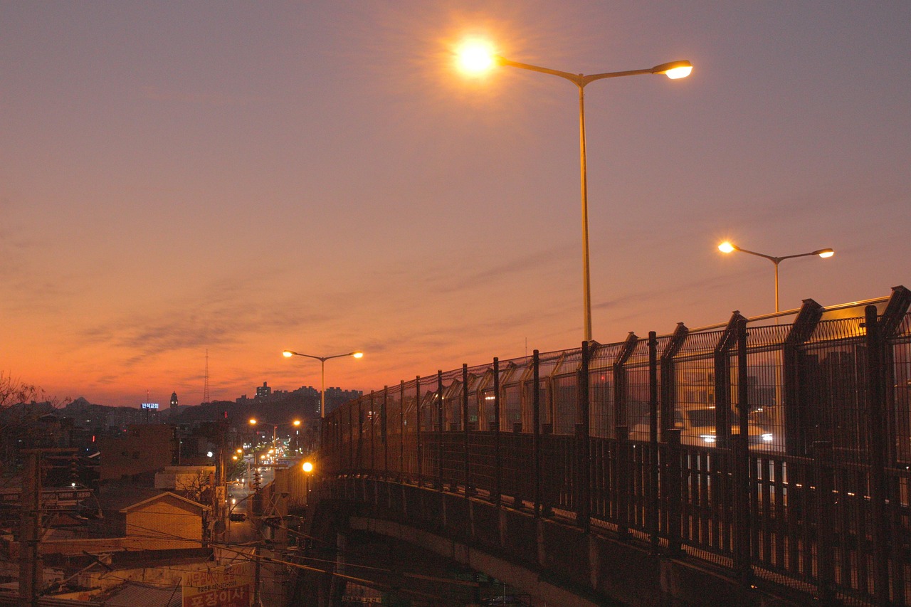 올리브유 효능 및 먹는법