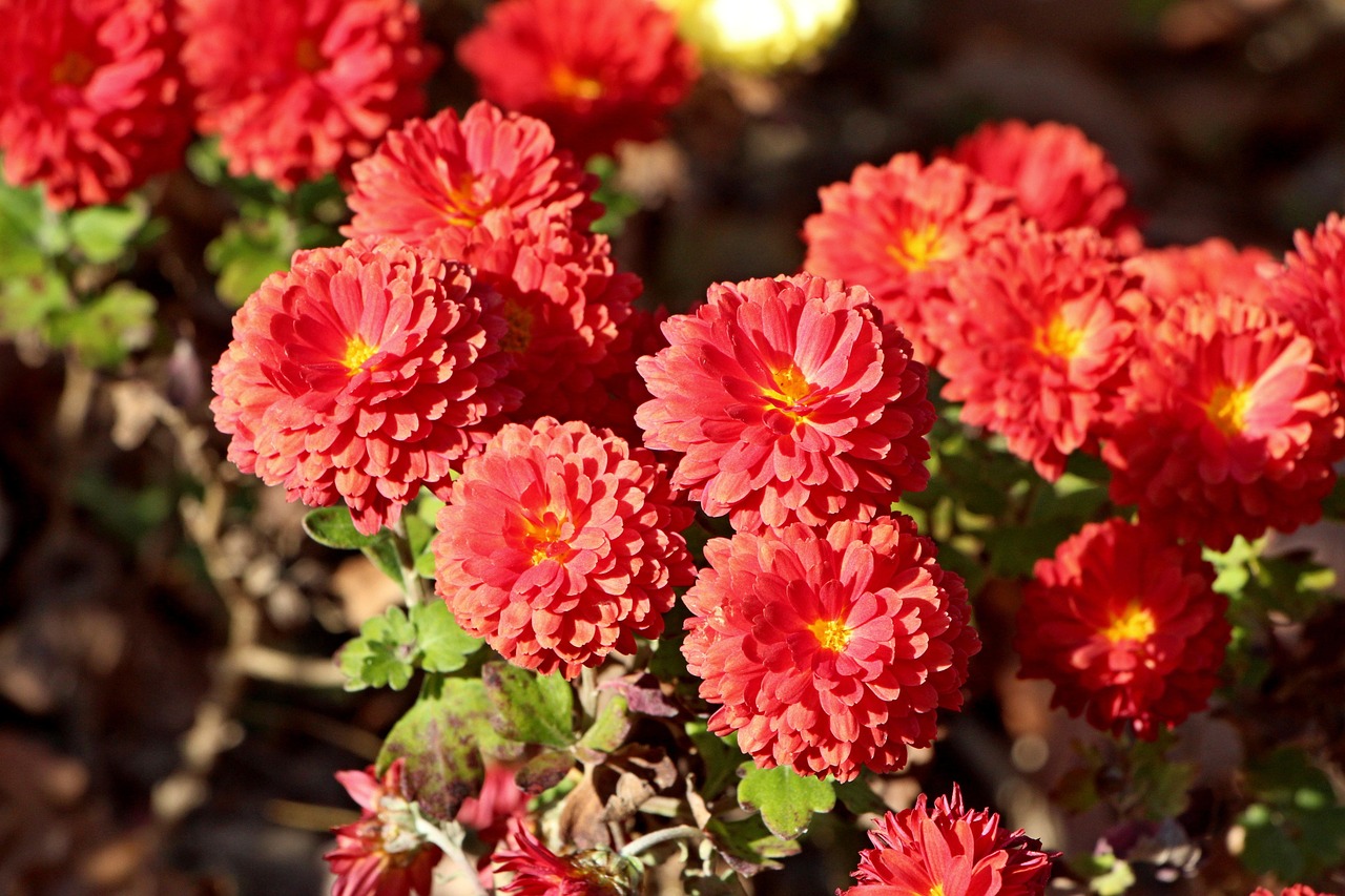 속쓰림 에 좋은 음식