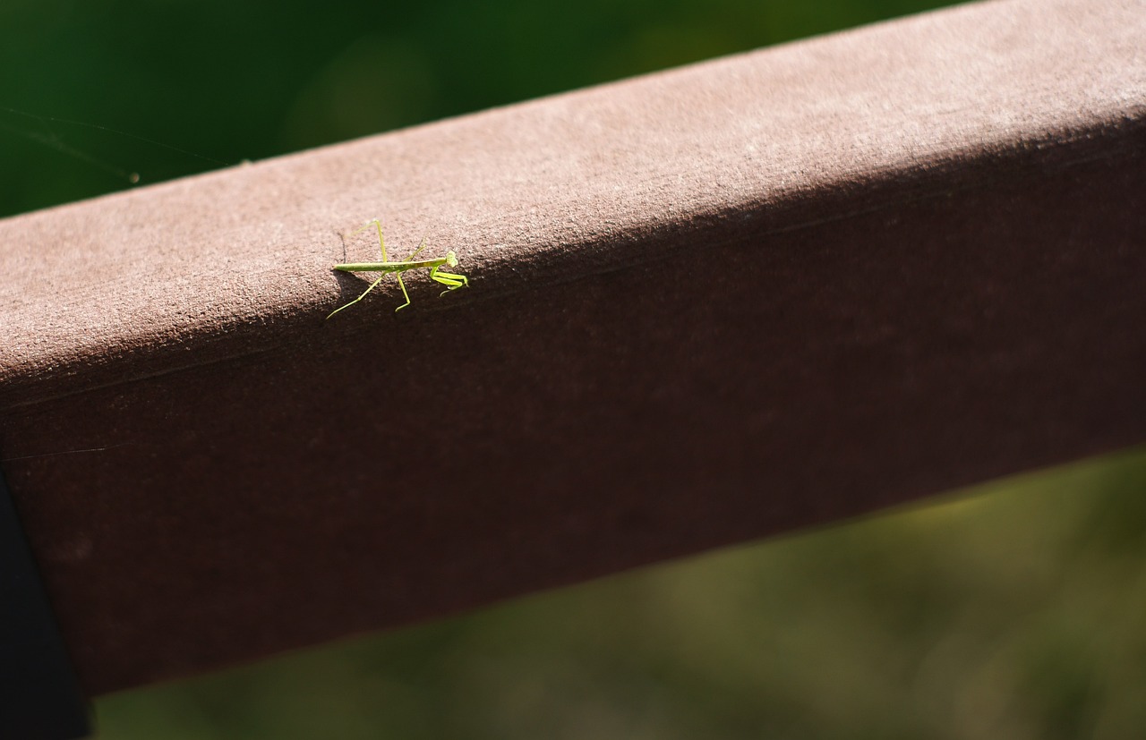 뇌에 가장 좋은 음식
