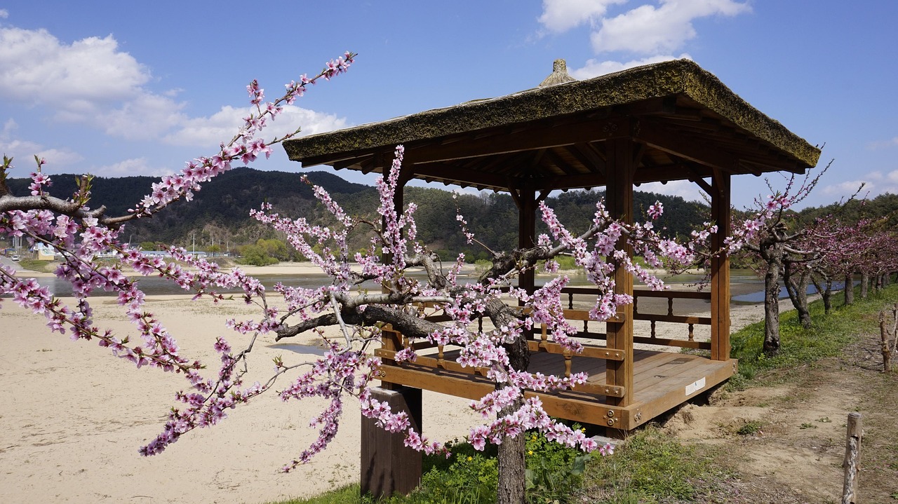 이석 증 에 좋은 음식