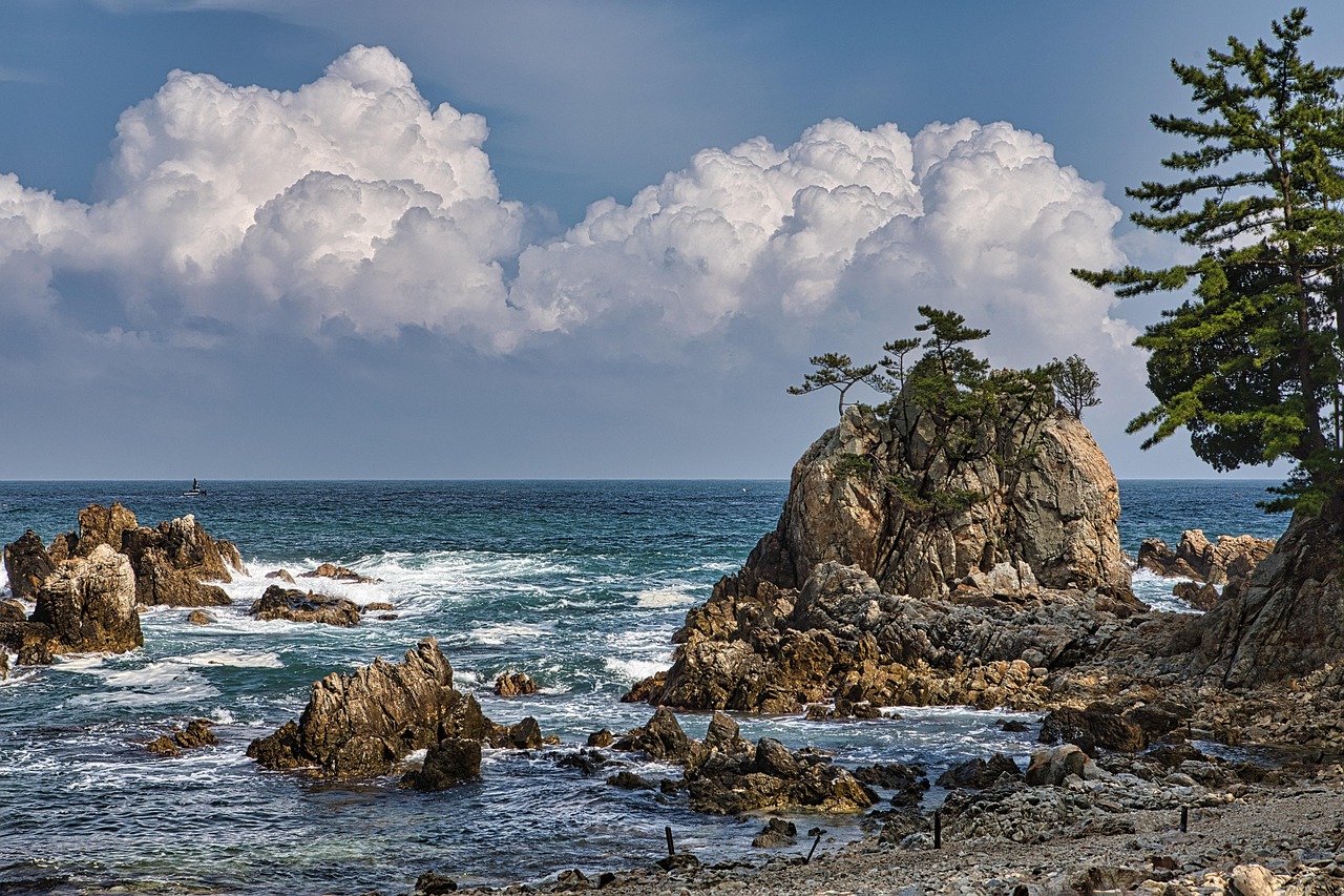 허리 에 좋은 음식