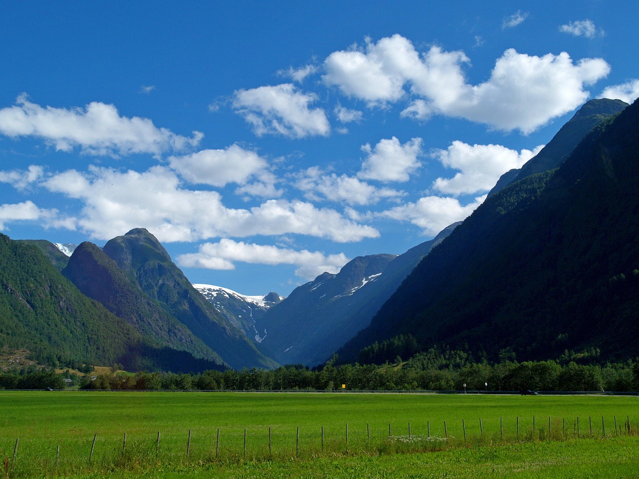 엉겅퀴 효능 먹는 법
