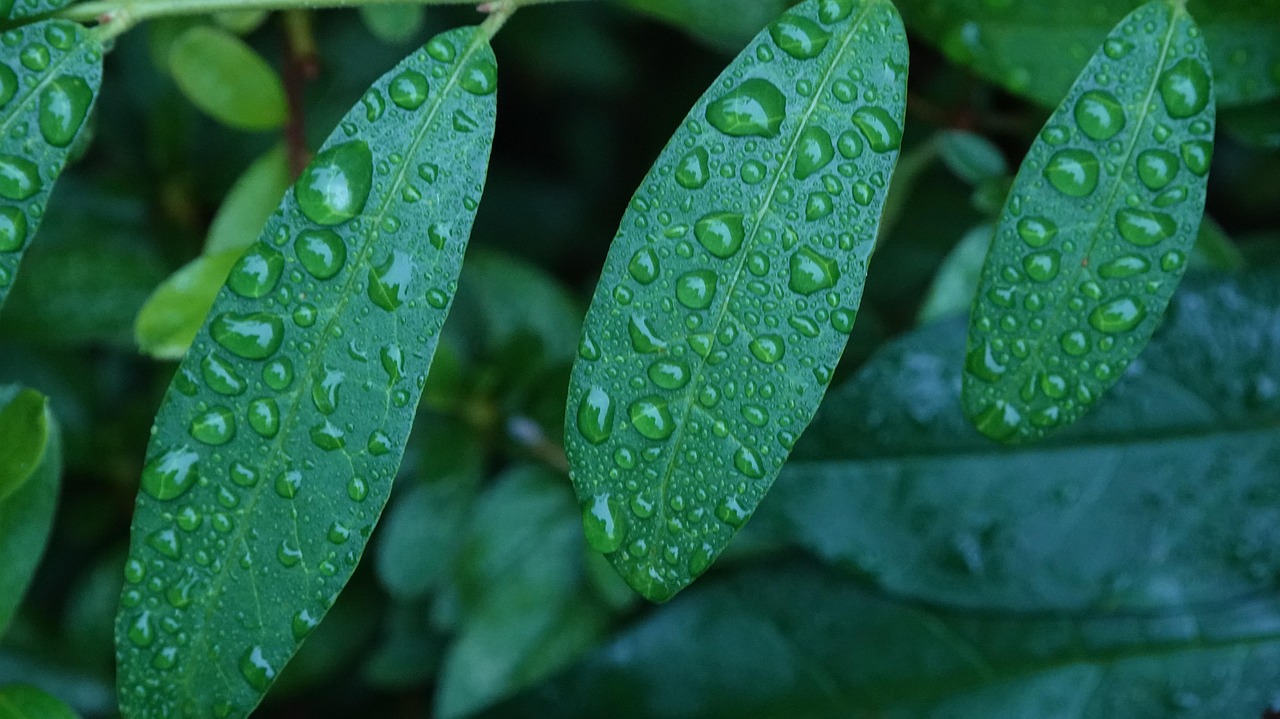 위축성 위염에 나쁜 음식