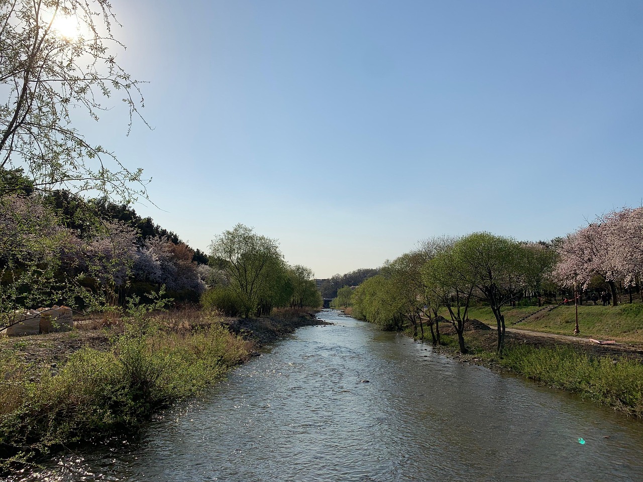 속쓰림 에 좋은 음식