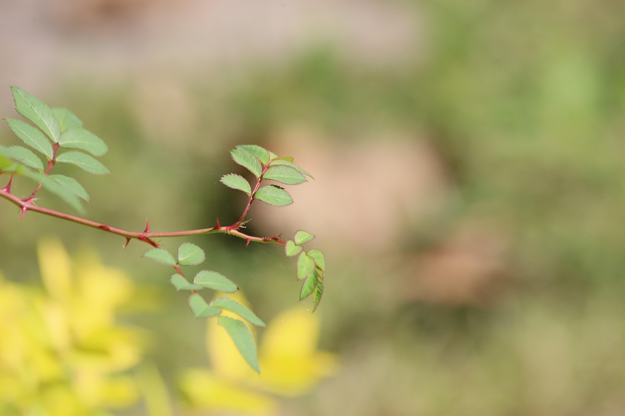 장 상피화 생 피해야 할 음식