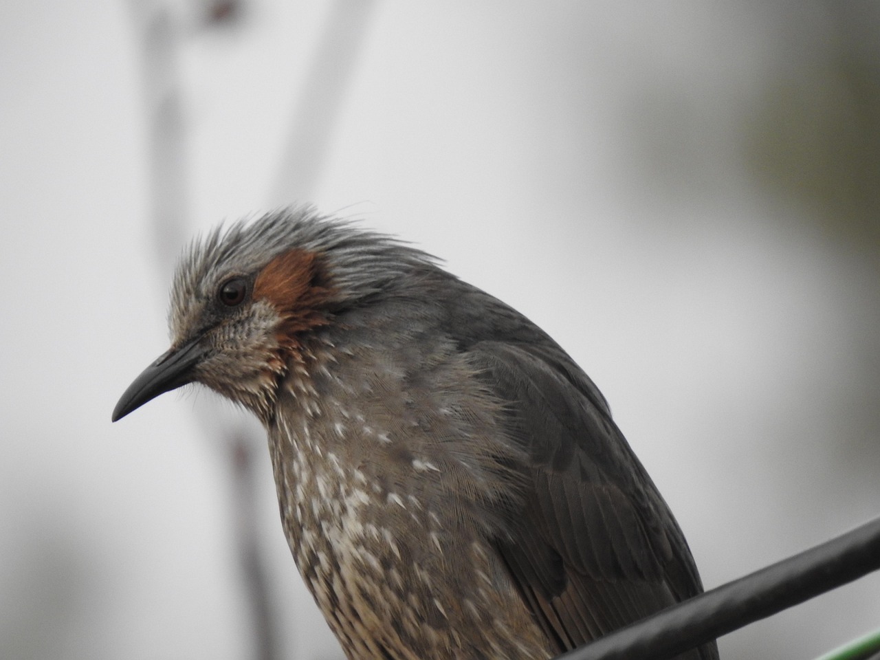건강 에 좋은 음식