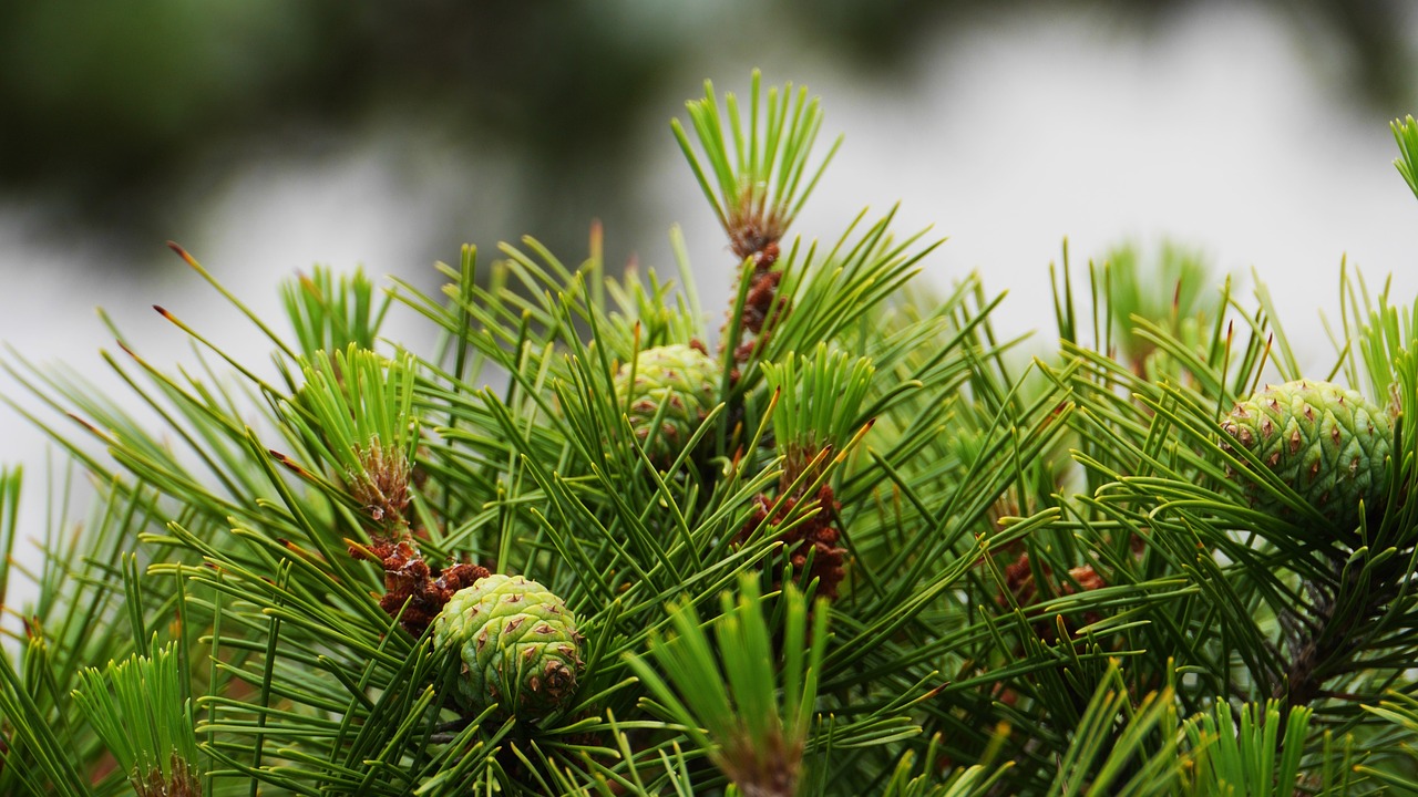 허리 에 좋은 음식