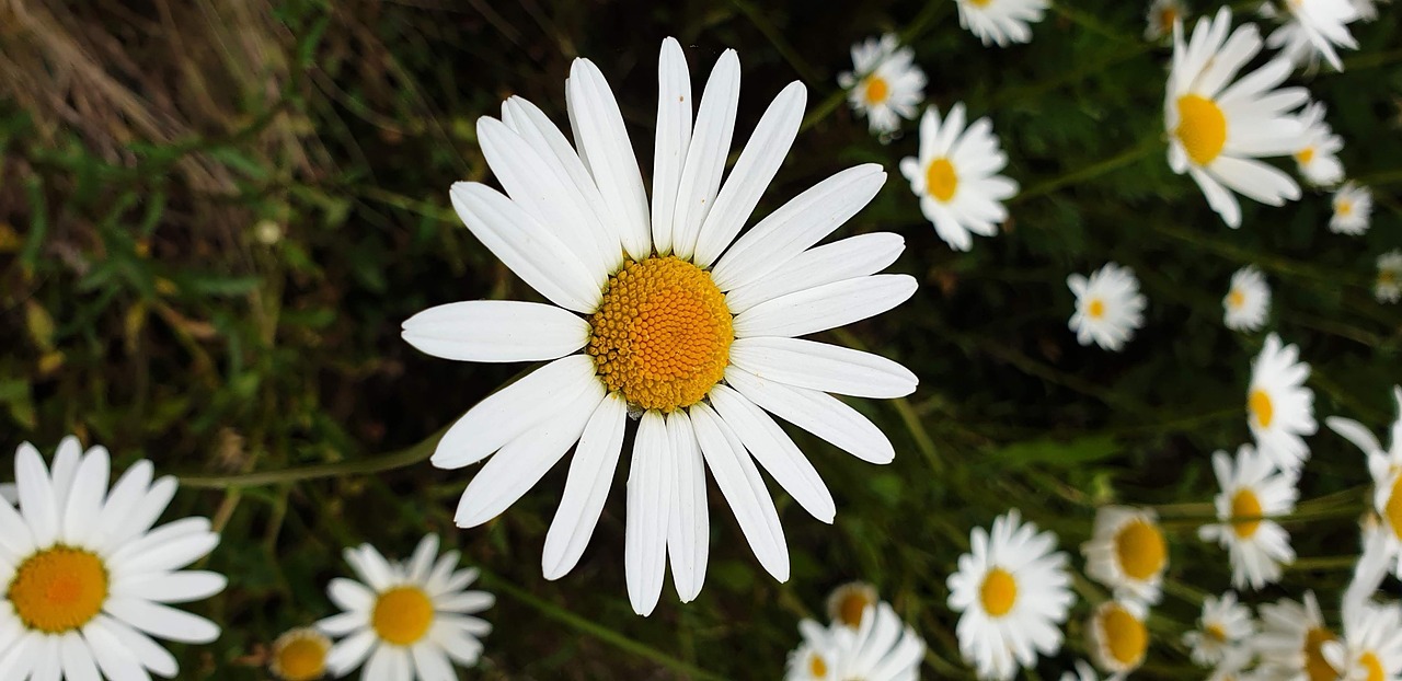 당뇨 조심해야 할 음식