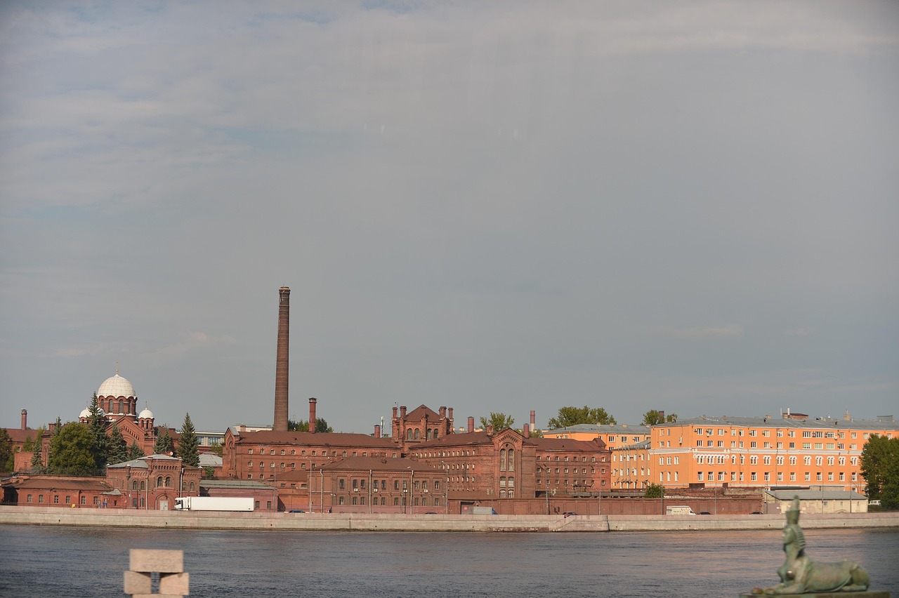 생태마을 청국장 가루 효능