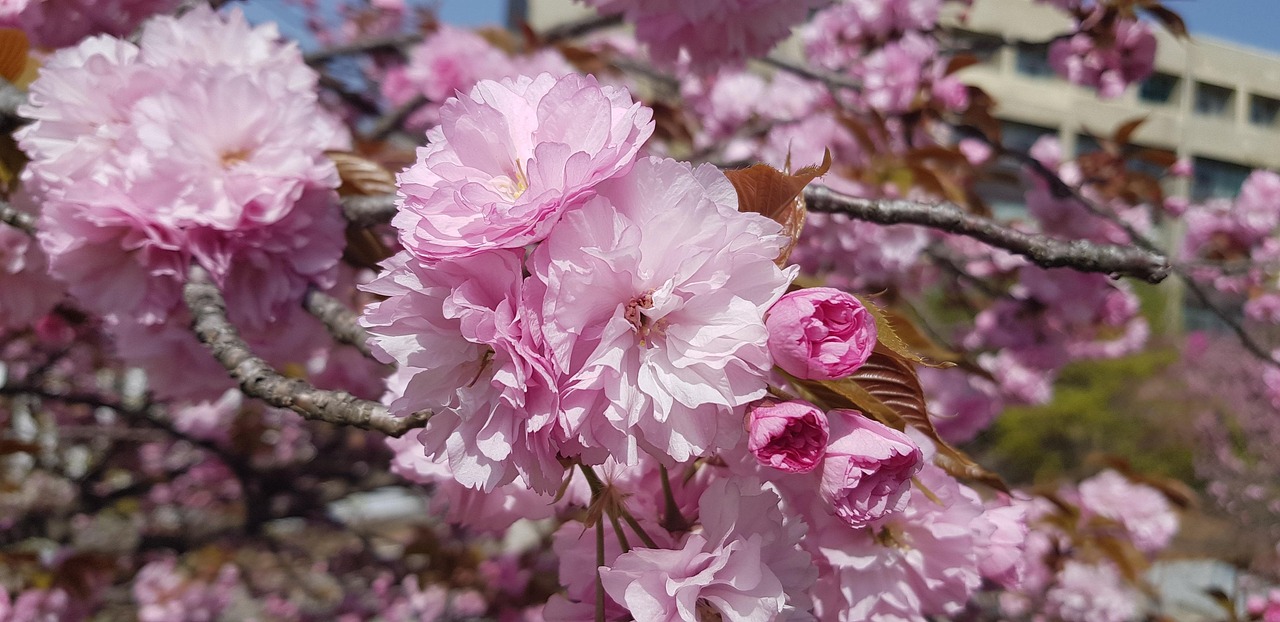 뇌에 가장 좋은 음식
