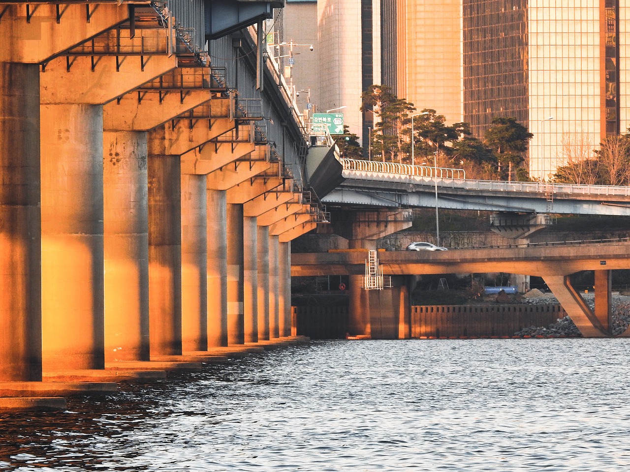 부정맥에 좋은 음식