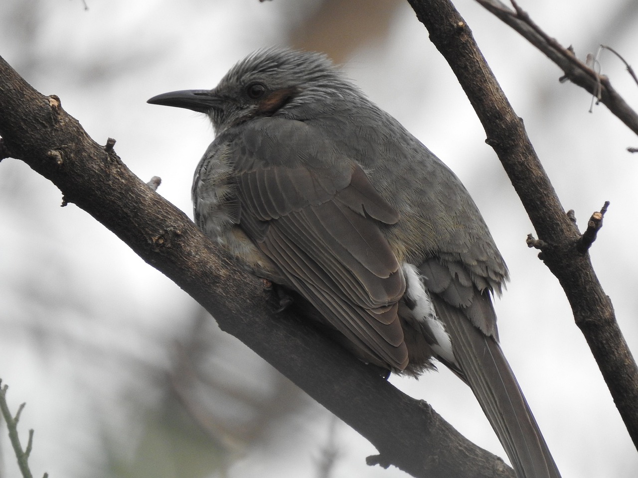 위축성 위염에 나쁜 음식