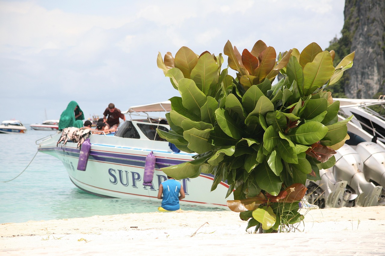 장염 회복기간 음식
