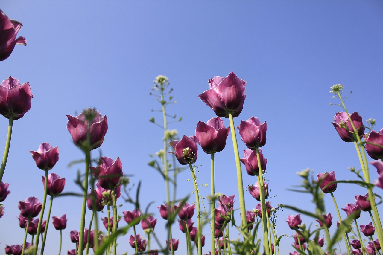 장 상피화 생 피해야 할 음식