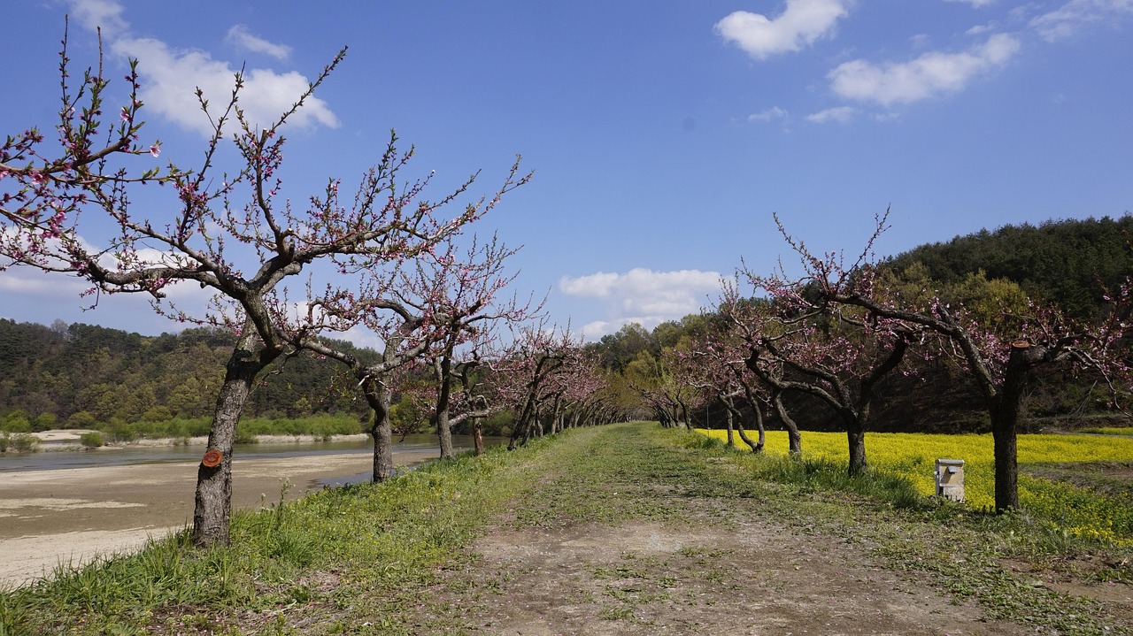 당뇨 조심해야 할 음식