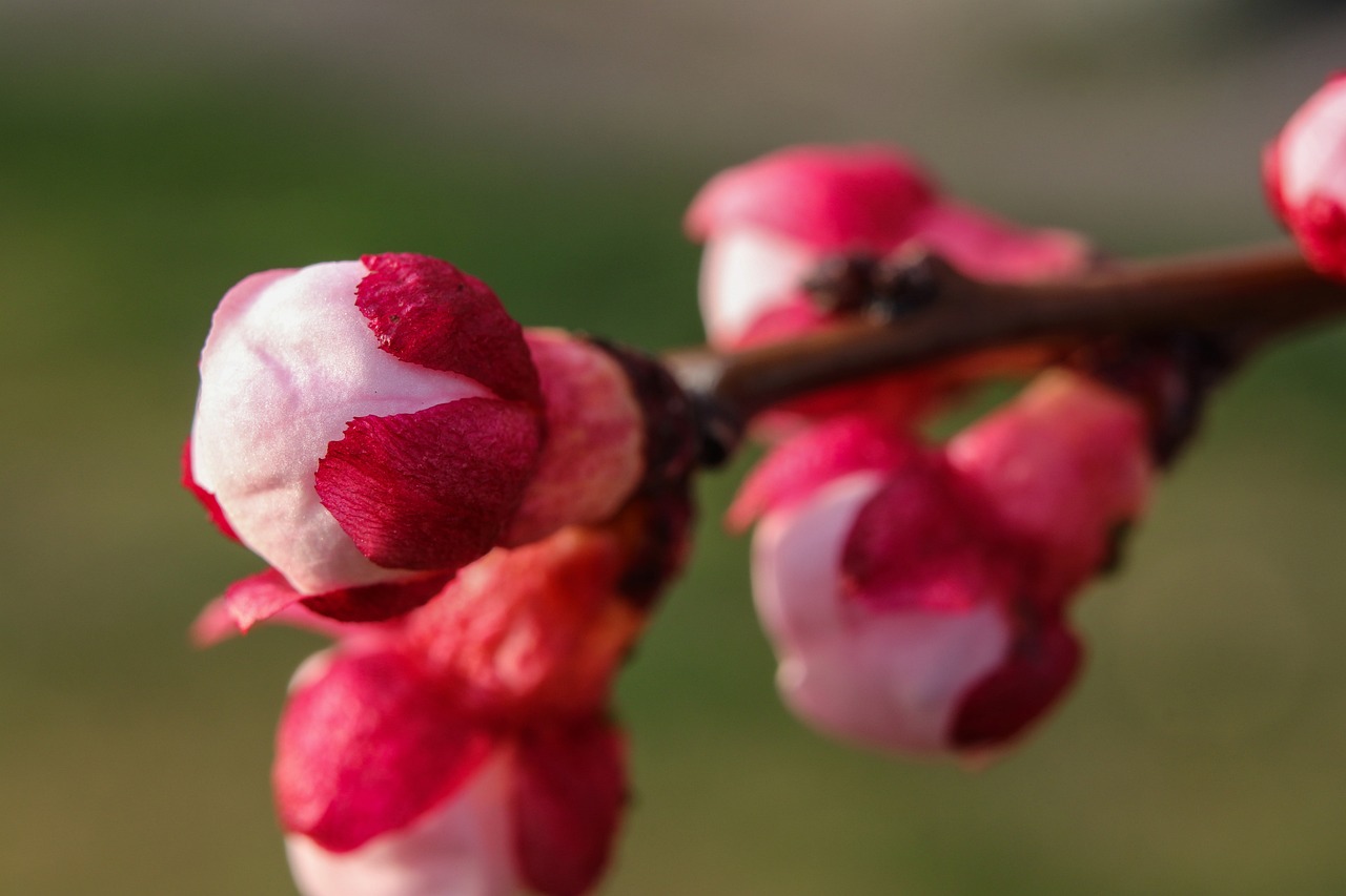 여드름 에 좋은 음식