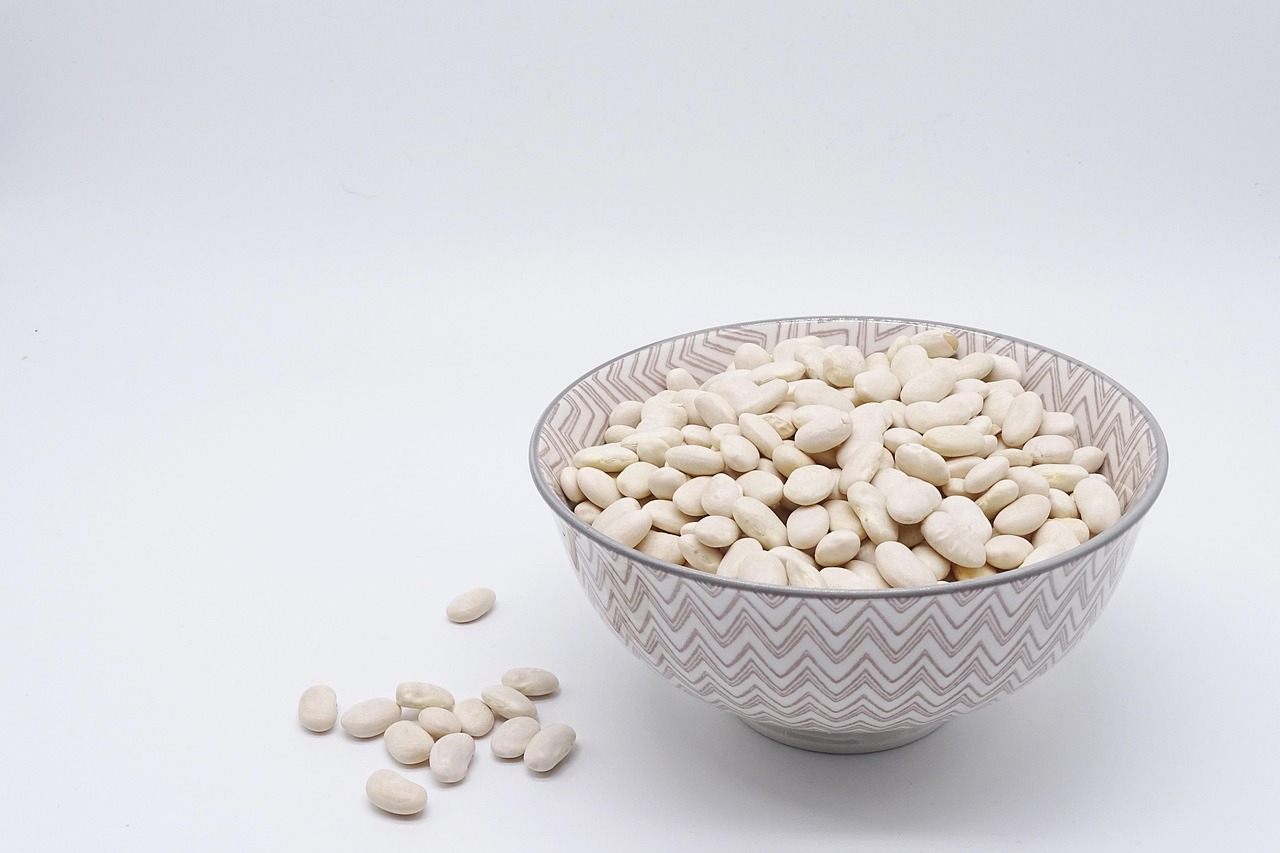 단백질 많은 음식 순위