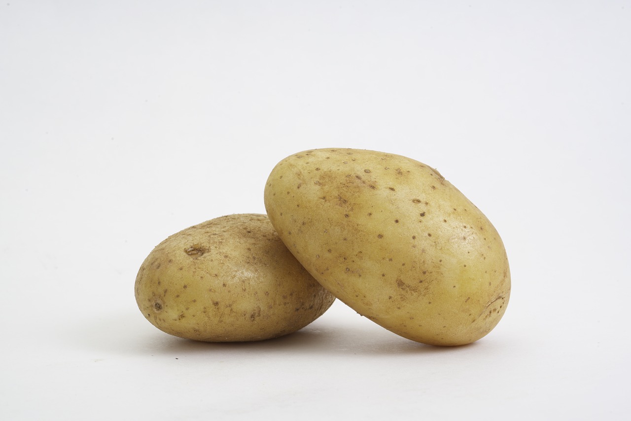 돼지 감자 차 효능