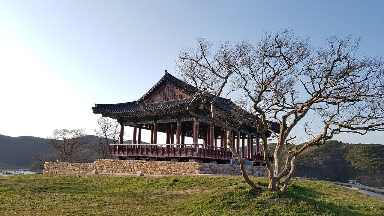 정자 생성 에 좋은 음식