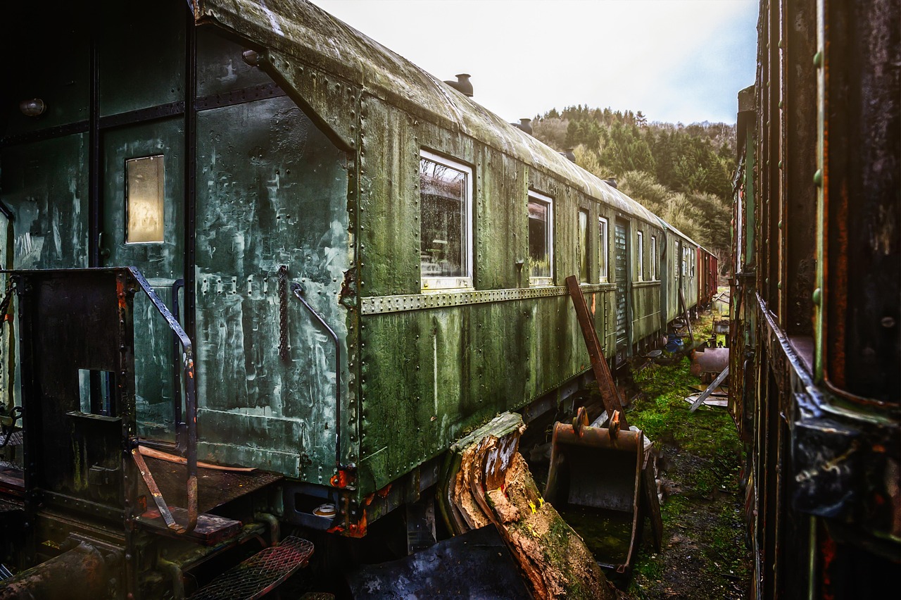 폐 에 좋은 음식