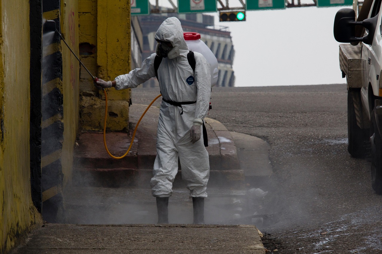 오미자 효능 부작용