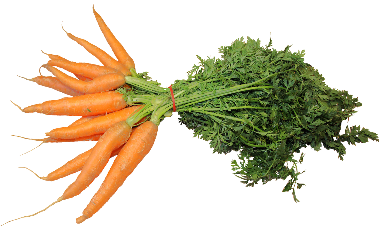 삶은 당근 효능